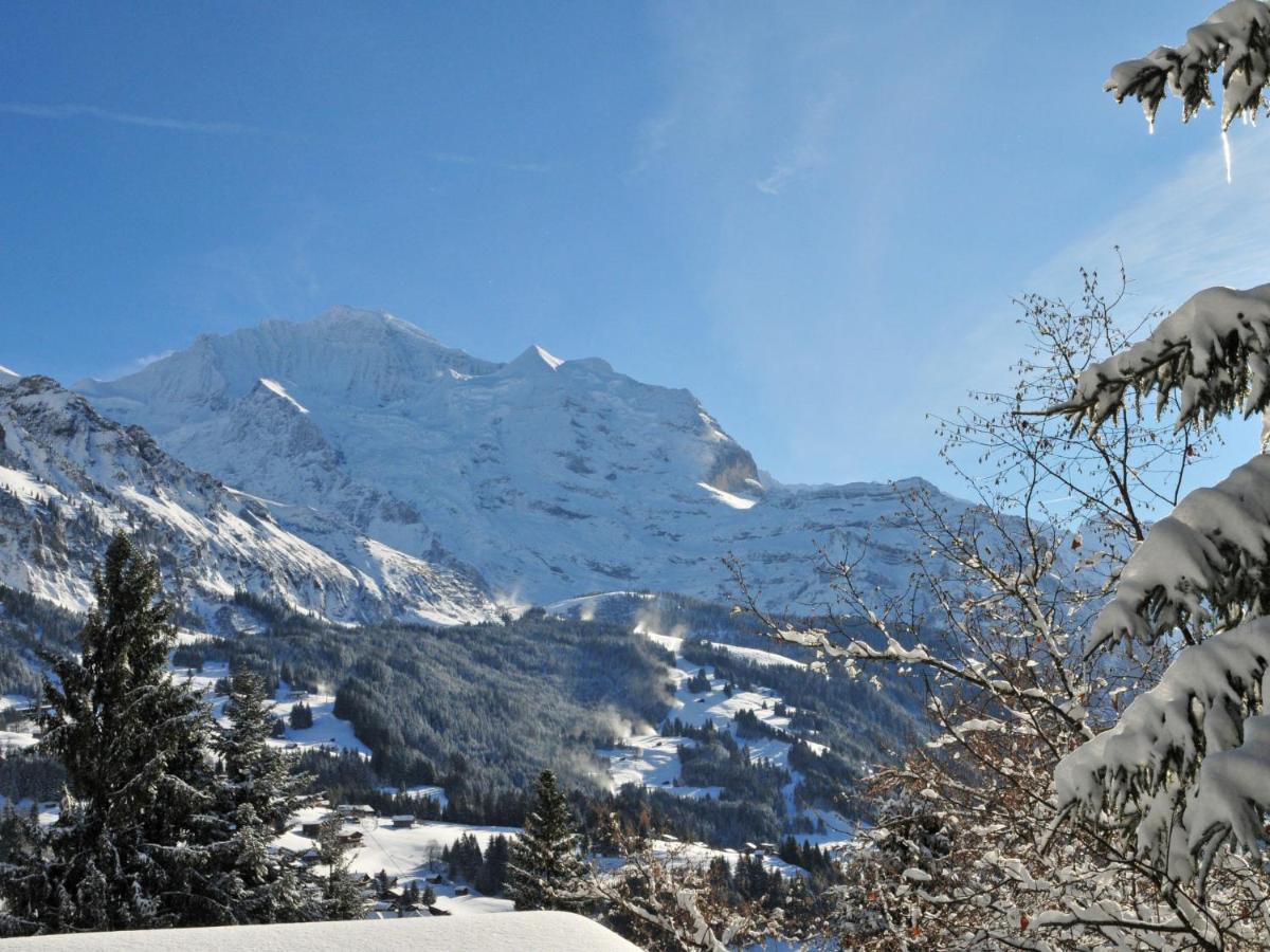 Apartment Rose Studio Y By Interhome Wengen Esterno foto
